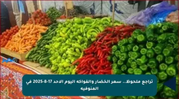 تراجع ملحوظ.. سعر الخضار والفواكه اليوم الأحد 17-8-2025 في المنوفية